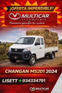 CHANGAN MS201 - 2024
